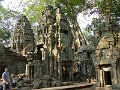 Angkor Ta Prohm P0177